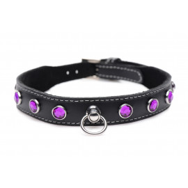 Master Series Royal Vixen Leather Collar with Rhinestones Purple