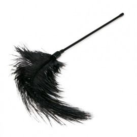 Easytoys Black Feather Tickler - Šteklítko