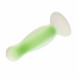 Dream Toys Radiant Soft Silicone Glow in the Dark Plug Small Green