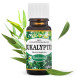 Saloos 100% prírodný esenciálny olej Eukalyptus 10ml