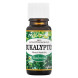 Saloos 100% prírodný esenciálny olej Eukalyptus 10ml